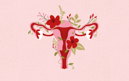 Graphique d'un utérus sur fond rose