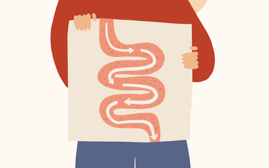 Une personne qui tient le dessin d'un intestin devant son propre corps.