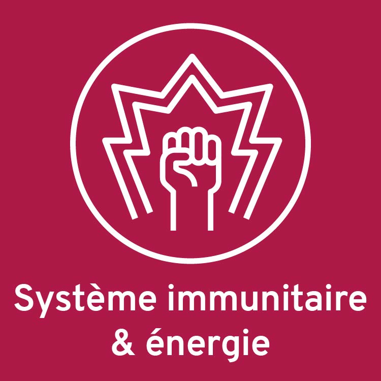 Système immunitaire et énergie
