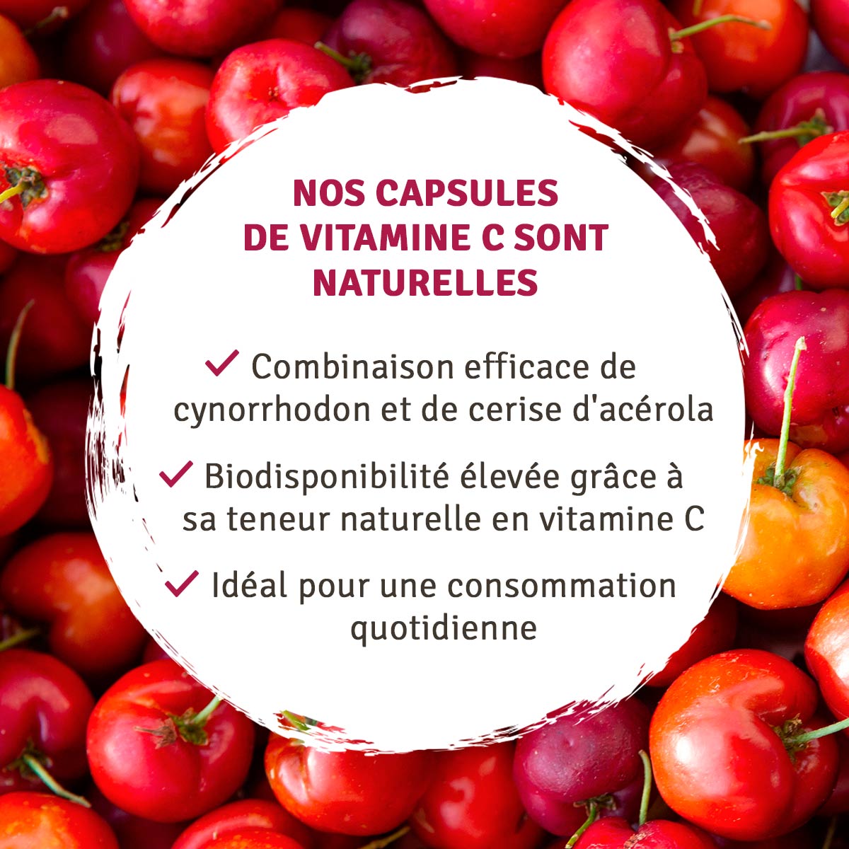 Capsules Vitamine C naturelle à haute dose : Acérola + cynorhodon