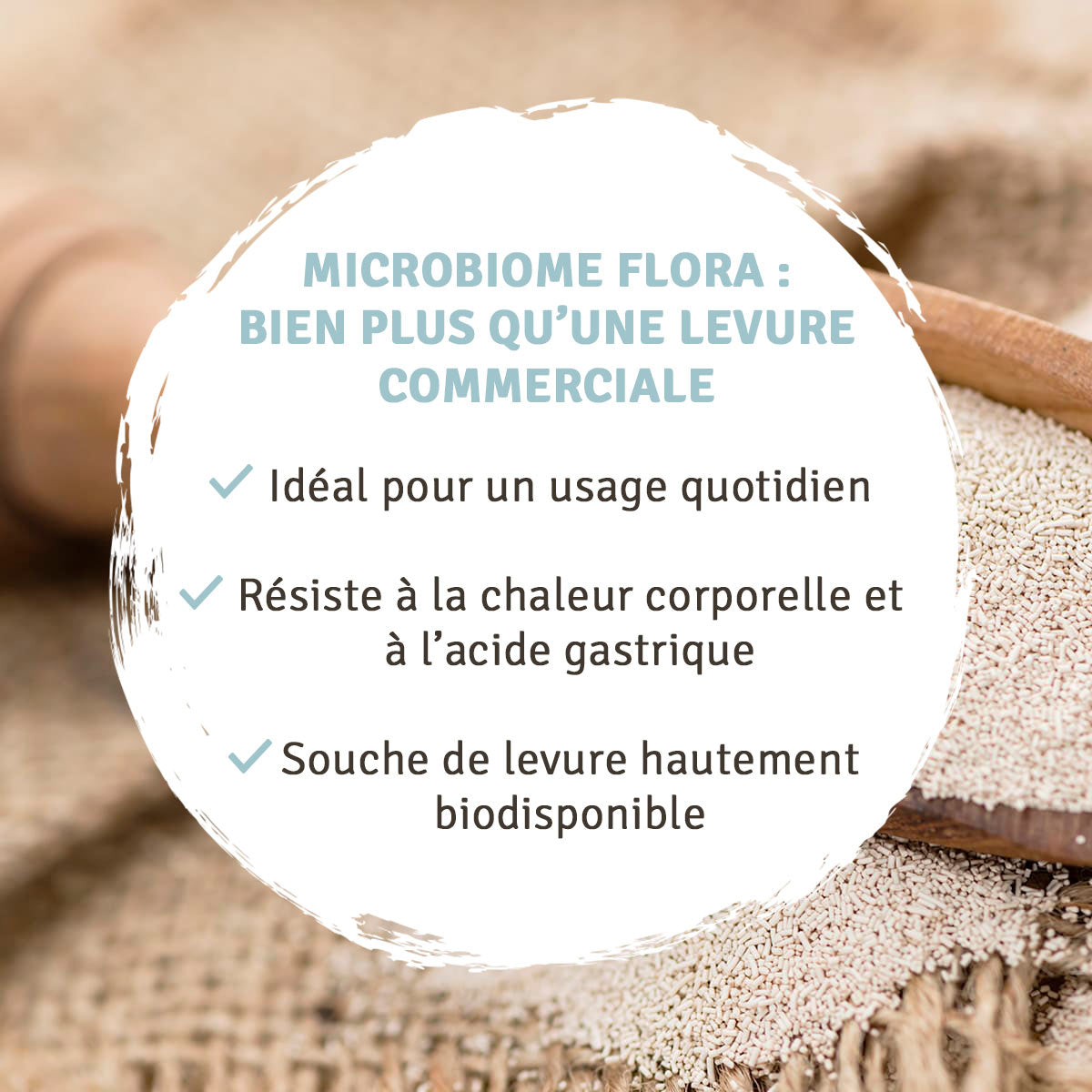 Capsules Microbiome Flora : Saccharomyces boulardii
