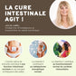 Cure Intestinale à l’Inuline de Chicorée et 6 autres substances végétales