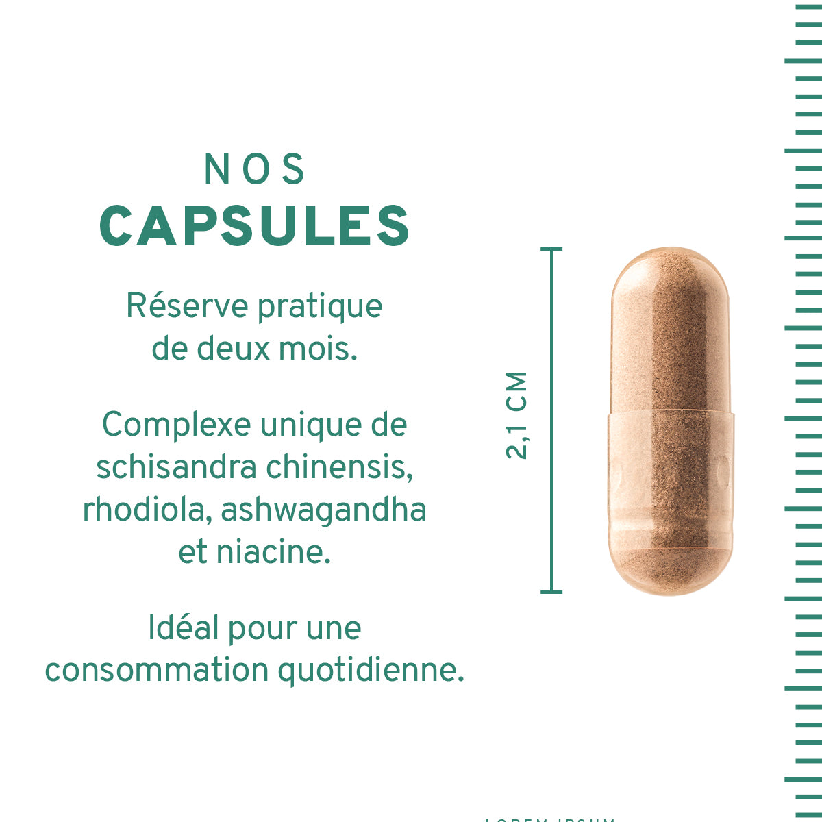 Capsules Anti-Stress : Schisandra, rhodiola, ashwagandha, vitamine B3